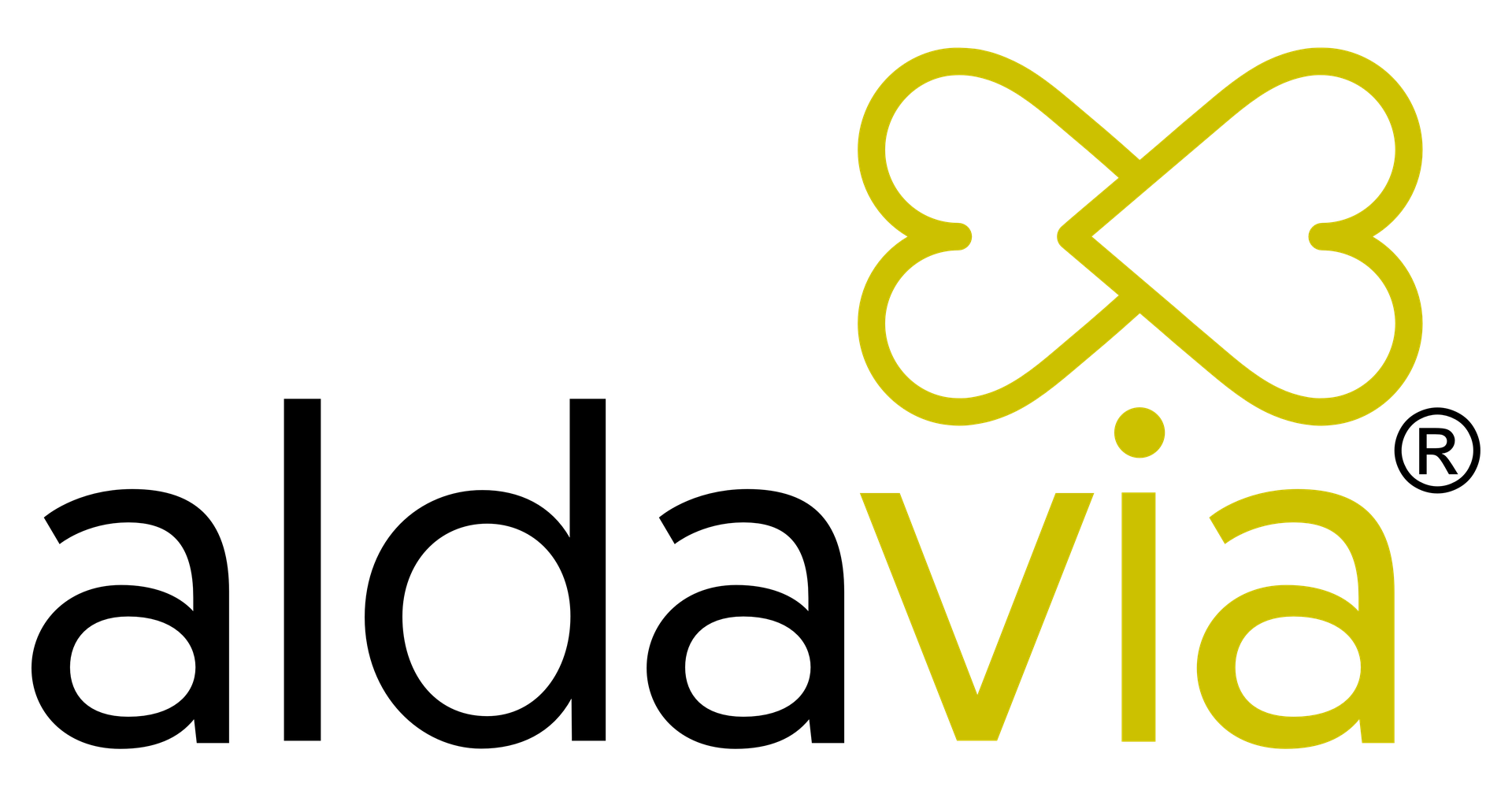 My Website